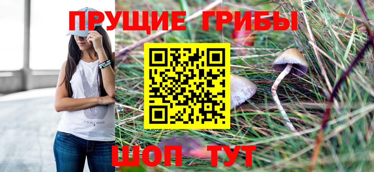 Псилоцибиновые грибы мухоморы Кирово-Чепецк