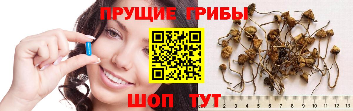 Псилоцибиновые грибы ЛСД  Вход с VPN  Кирово-Чепецк  Галлюциногенные грибы Psilocybine cubensis 